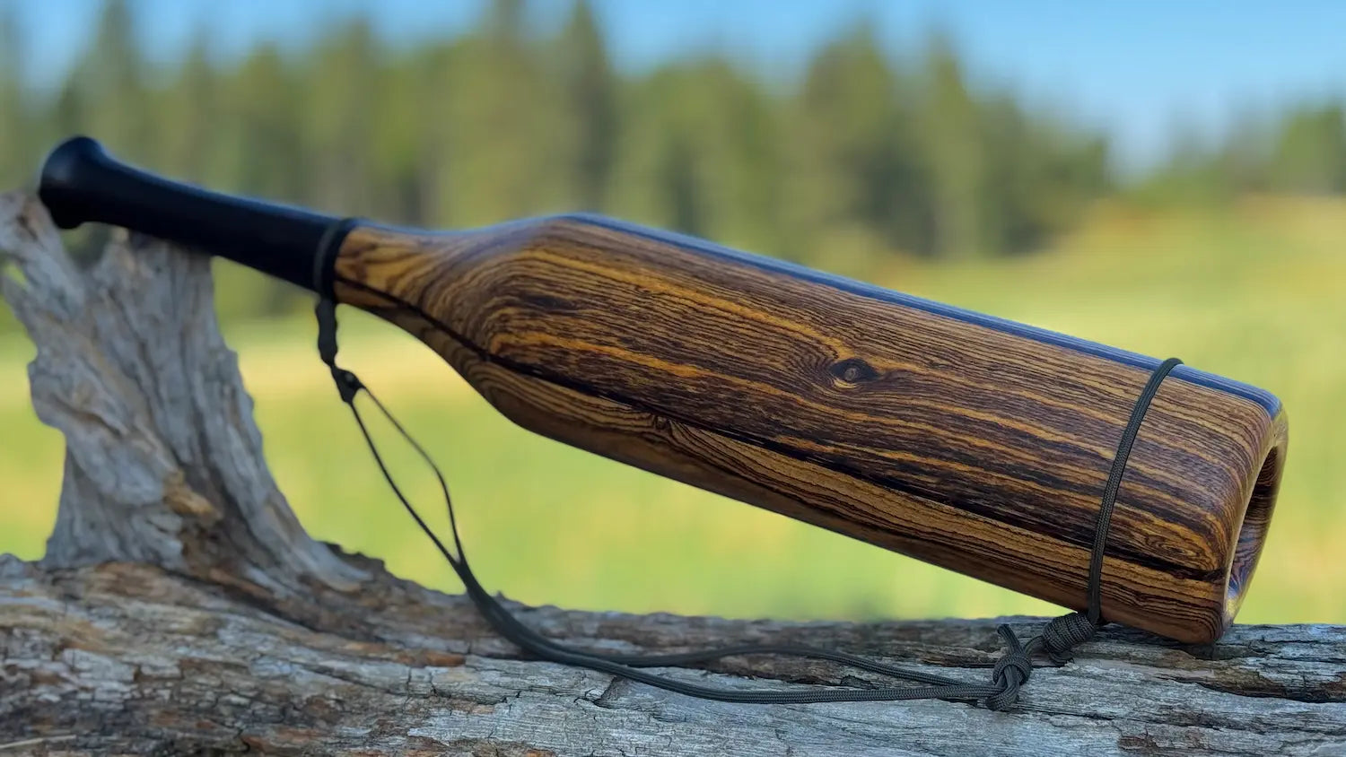 Bocote Elk Bugle leaning on Driftwood WCC