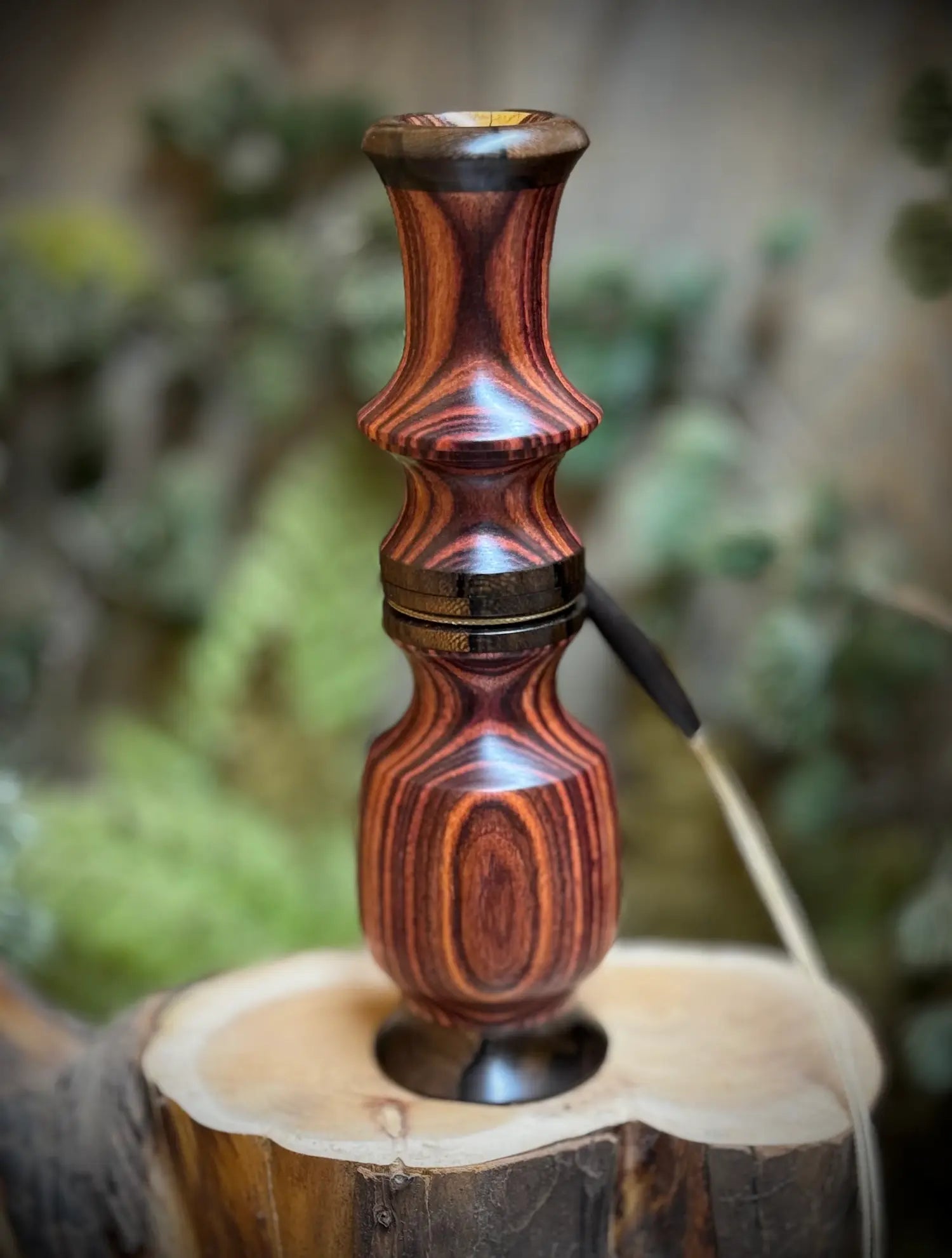 Brazilian Kingwood Whitetail Grunt