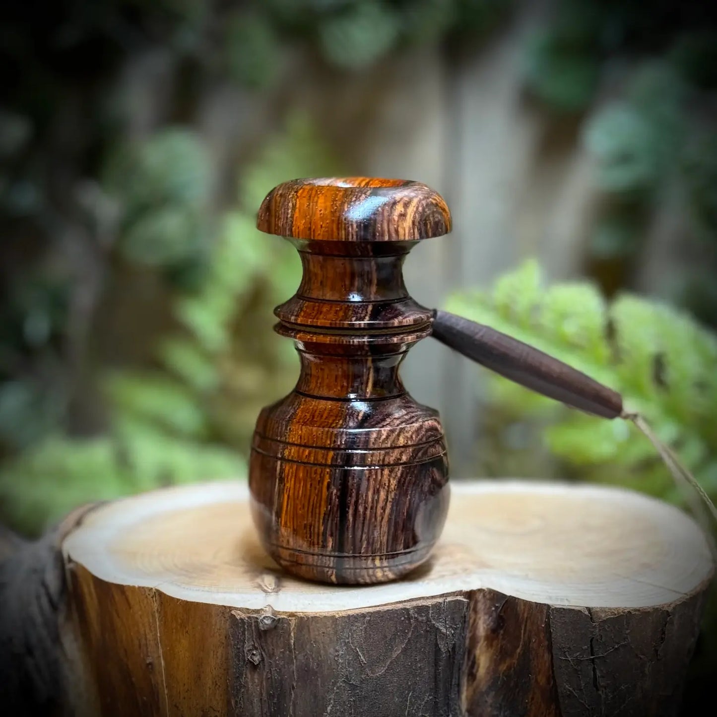 Cocobolo Blacktail Bleat