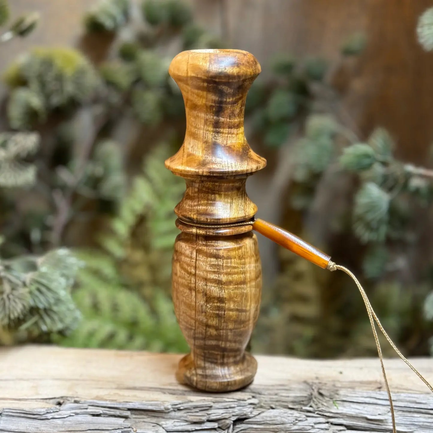 Custom Curly Mango Compact Grunt with radiant sheen