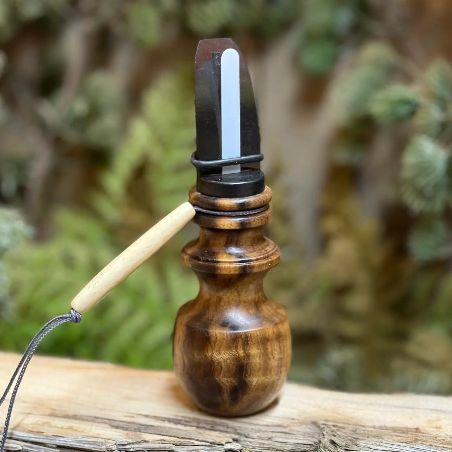 Curly Oregon Myrtle Cow Elk Call back side showing beautiful figuring and sheen