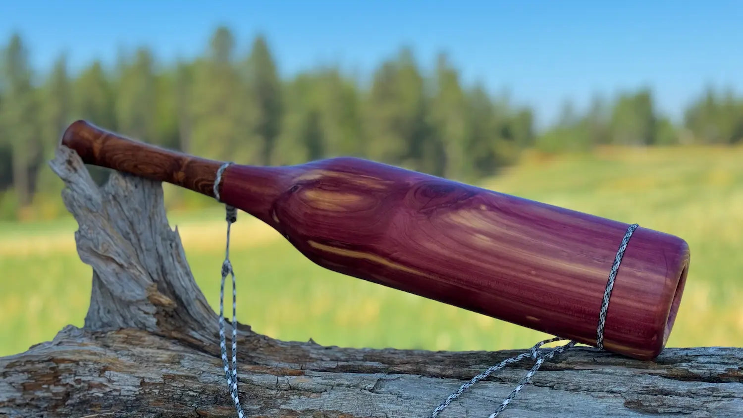 Eastern Red Cedar Bugle leaning on a tree stump