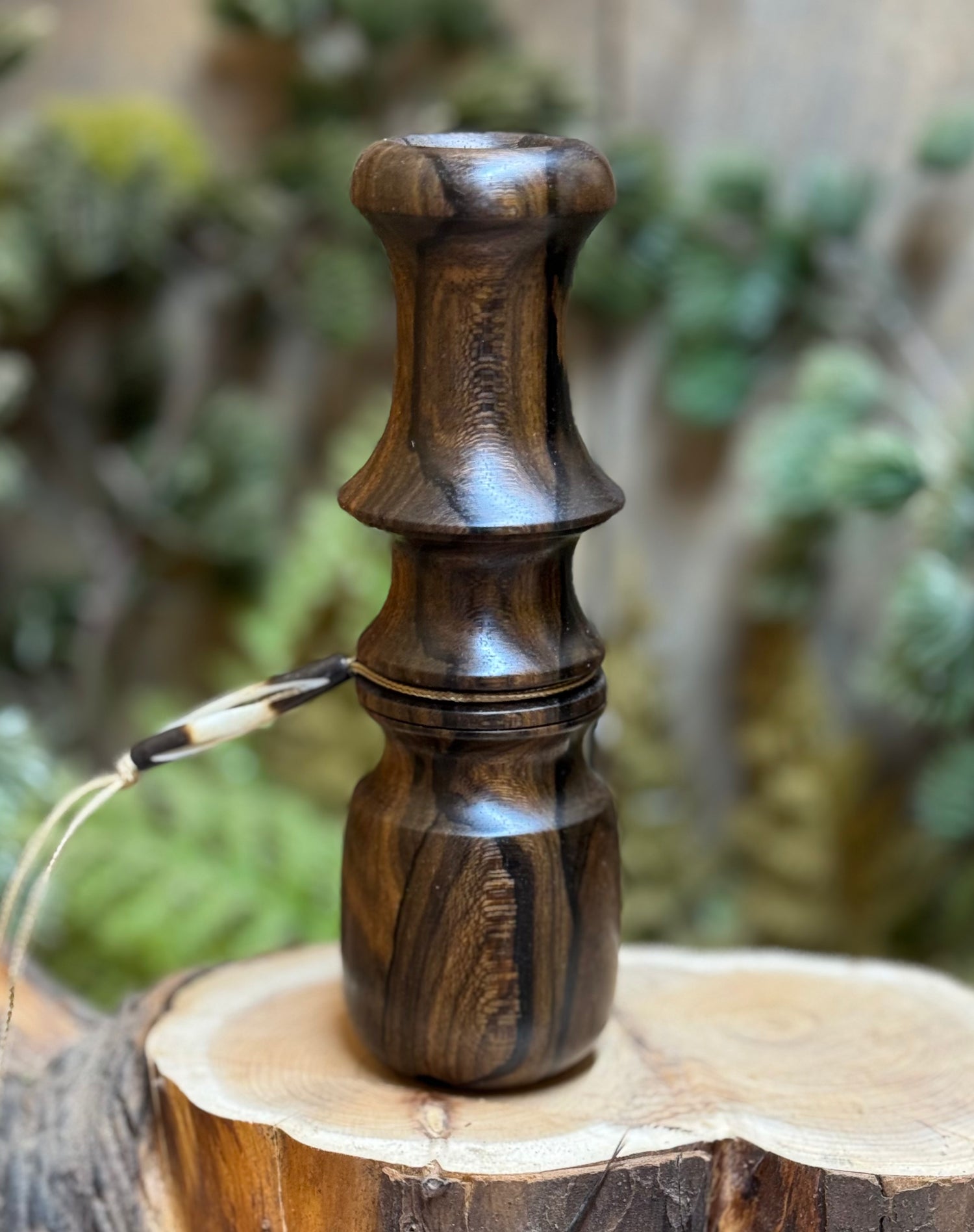 Ziricote Owl Hooter