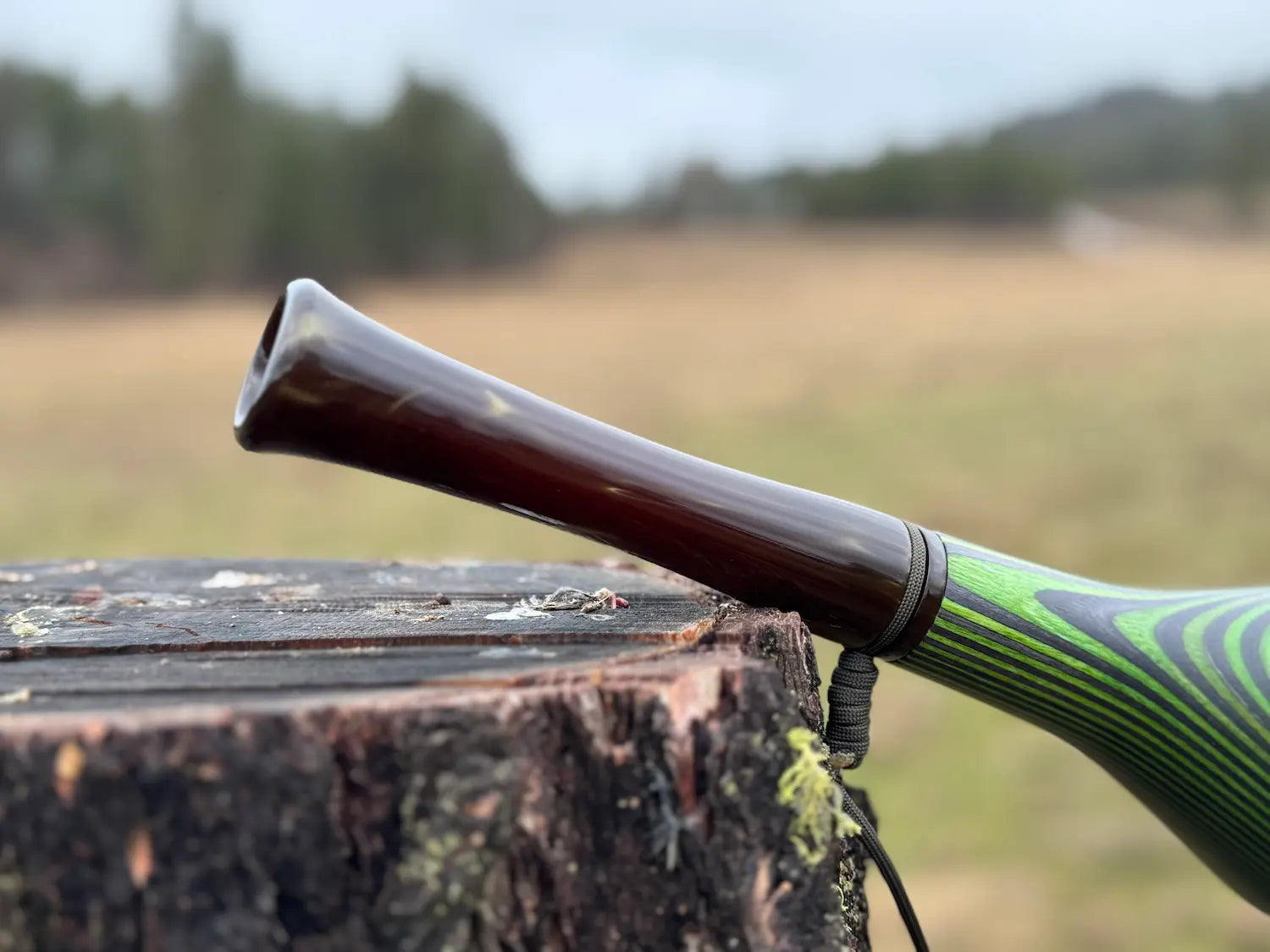 Close-Up of Toxic Marsh Acrylic mouthpiece