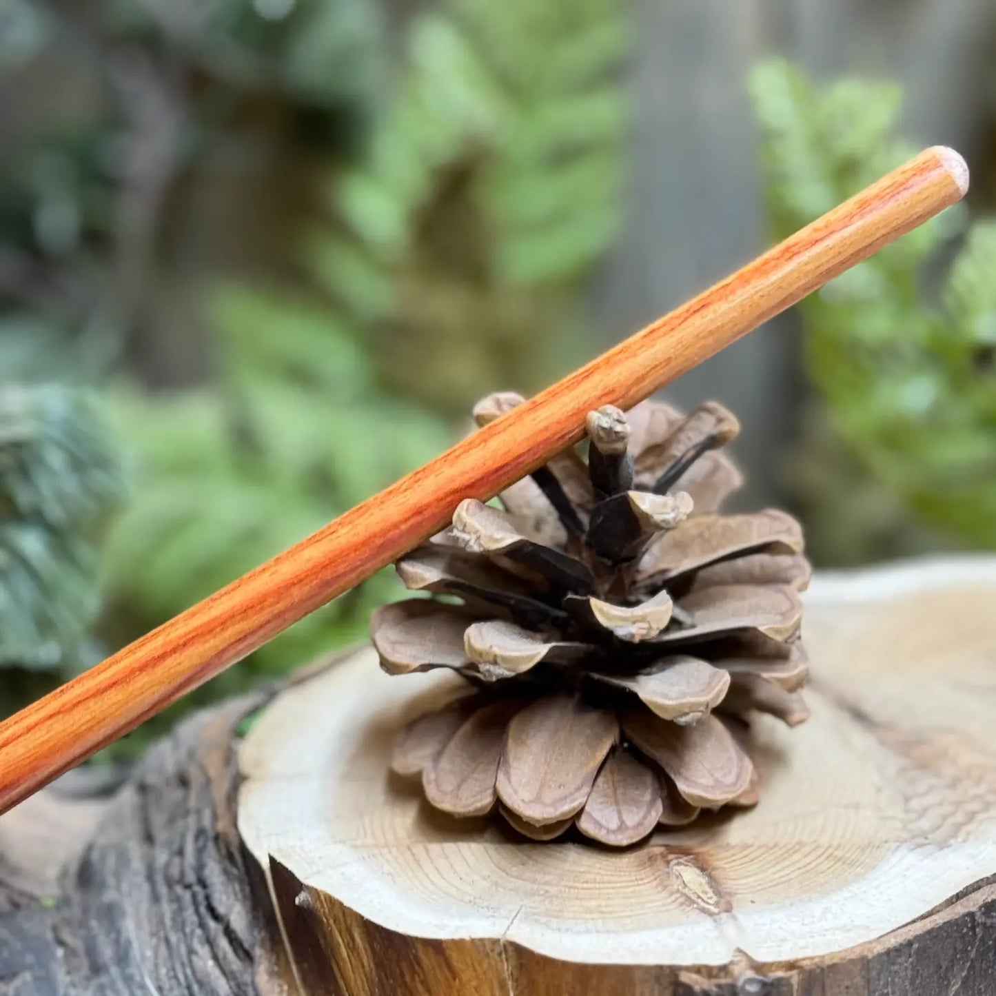 Tulipwood Striker tip up resting on a pine cone