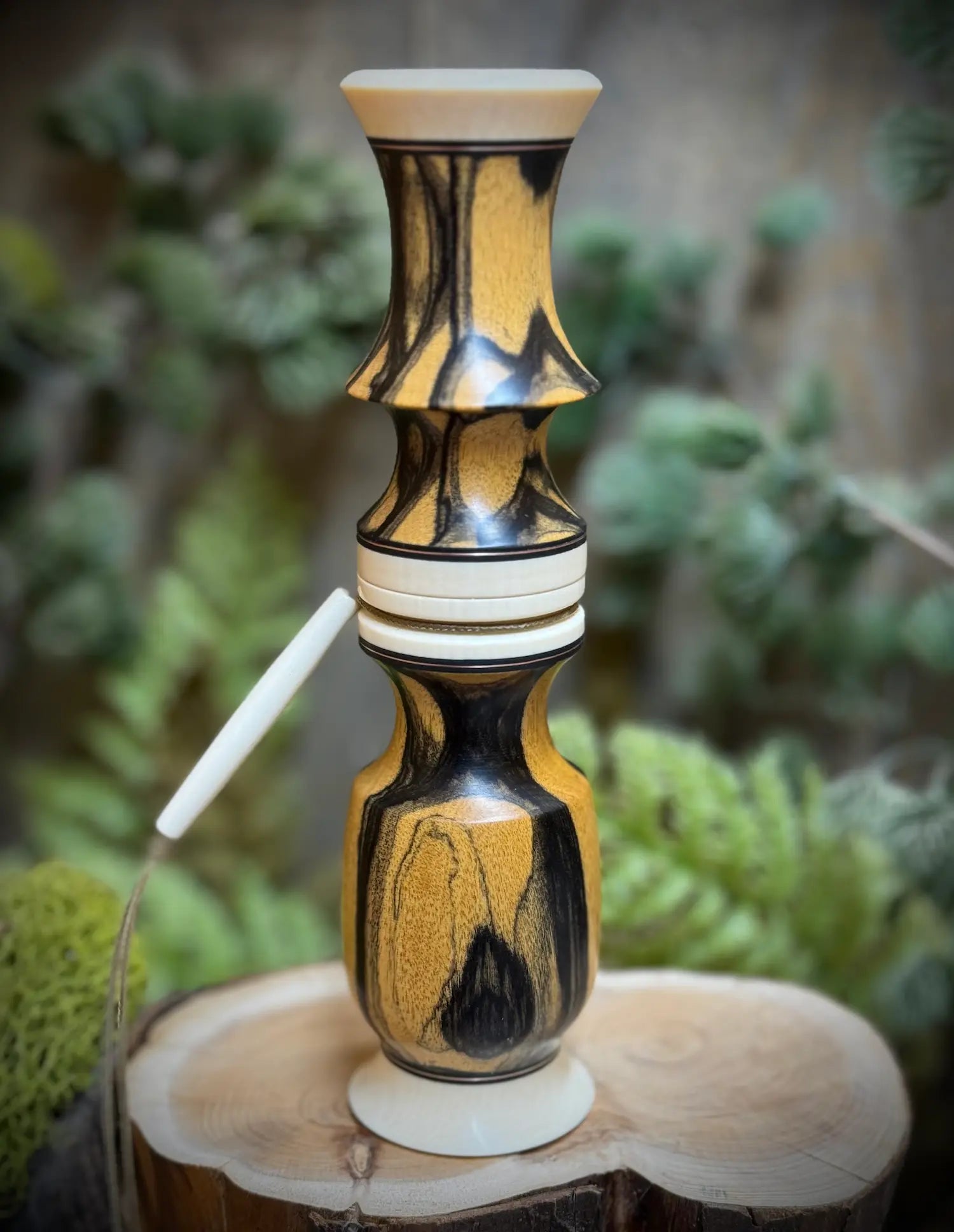 Black & White Ebony Deer Grunt full view