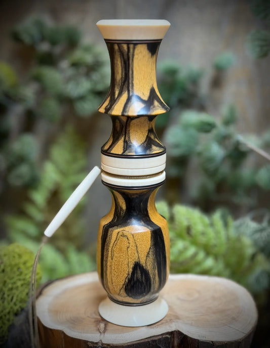 Black & White Ebony Deer Grunt full view