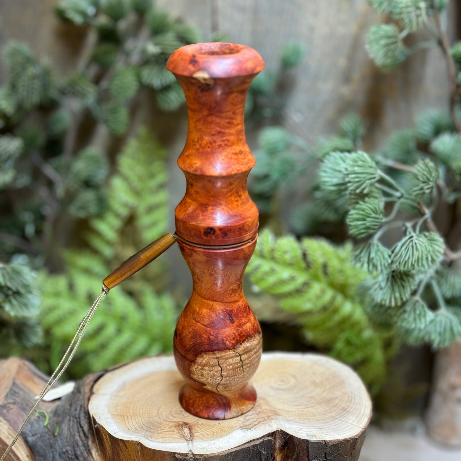 Bloodwood Burl Whitetail Grunt