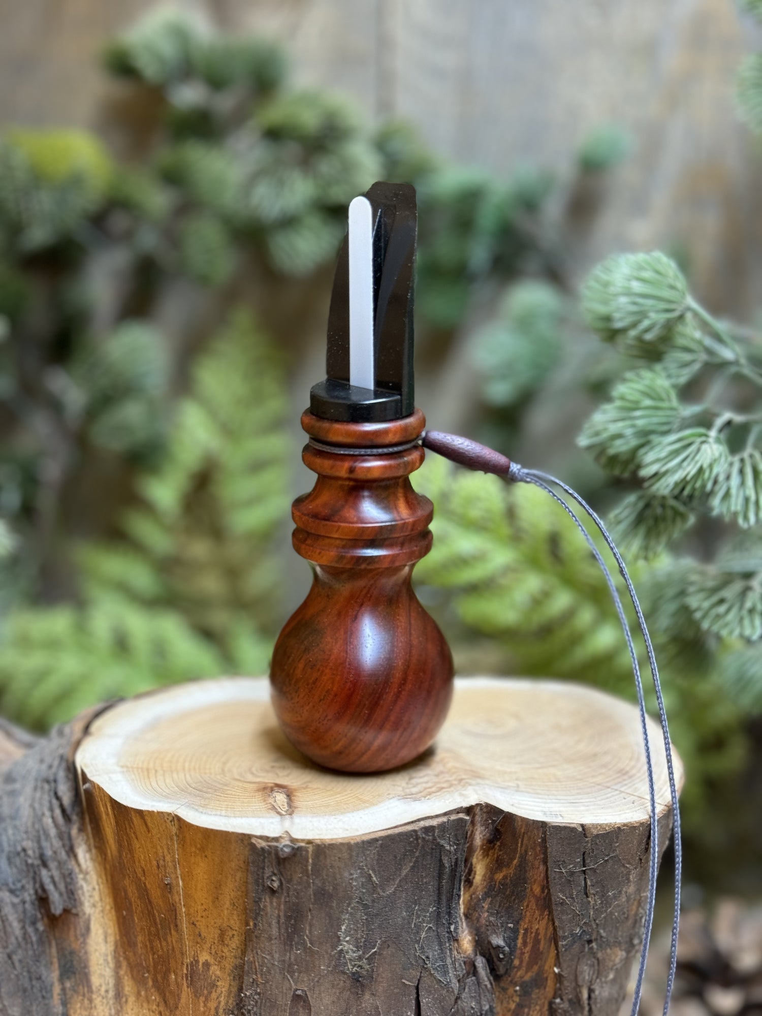 Siamese Rosewood cow elk call