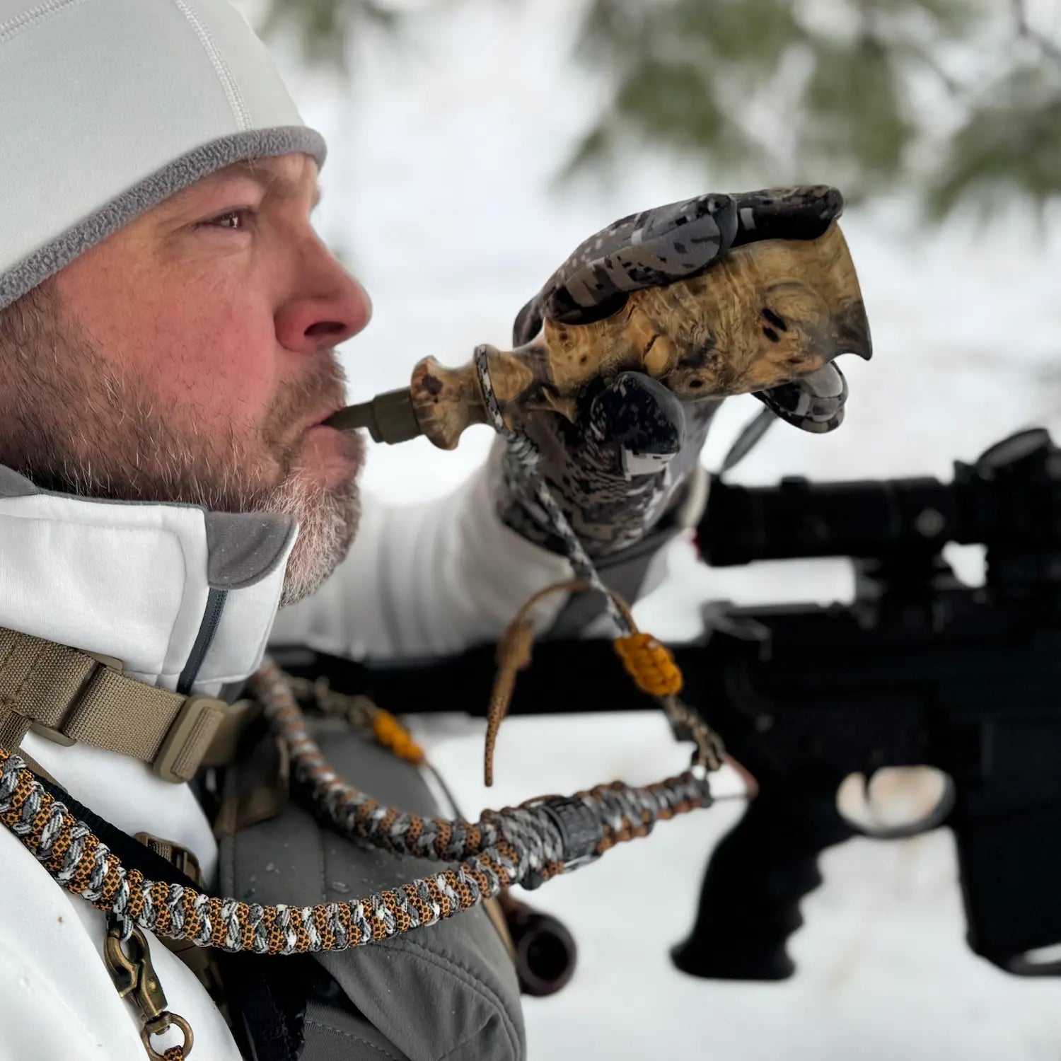 Buckeye Burl Coyote Howler in the field
