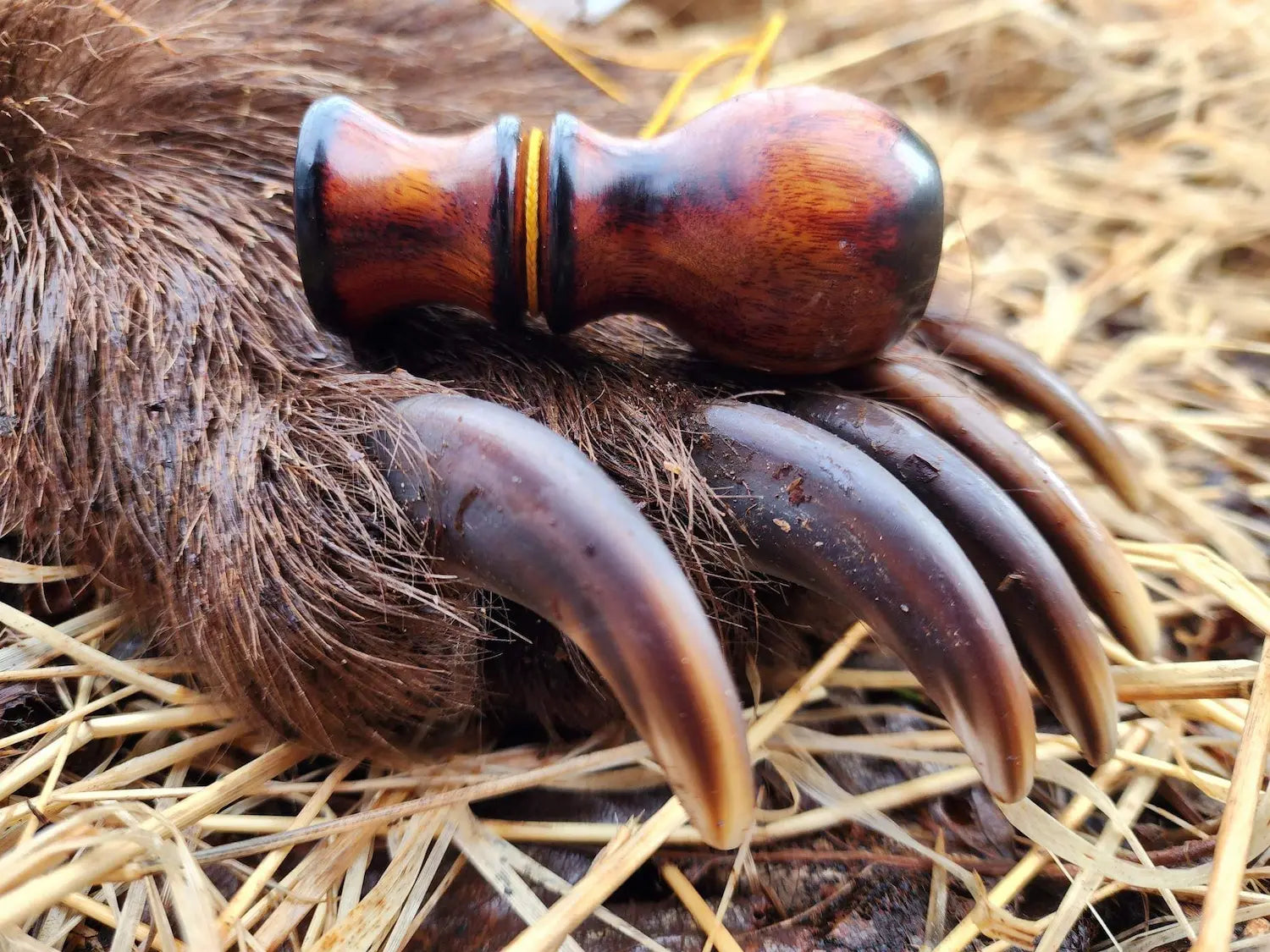 Burnt Argentine Osage Bleat on Bearpaw