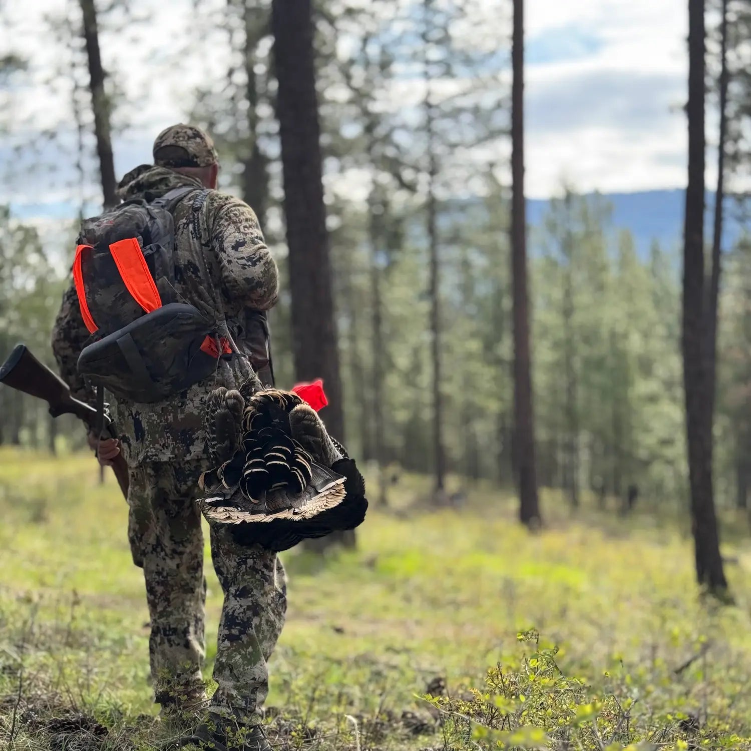 Hunter dressed in camo gear walking in spring forest with rifle and recently bagged turkey slung to his side.