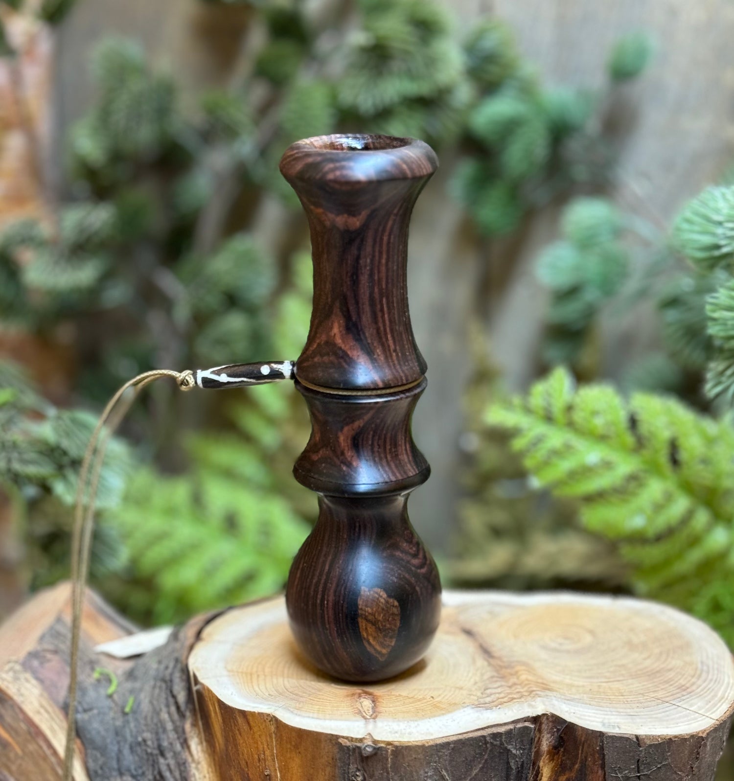 Owl Hooter in Cocobolo Root with African Blackwood Accents