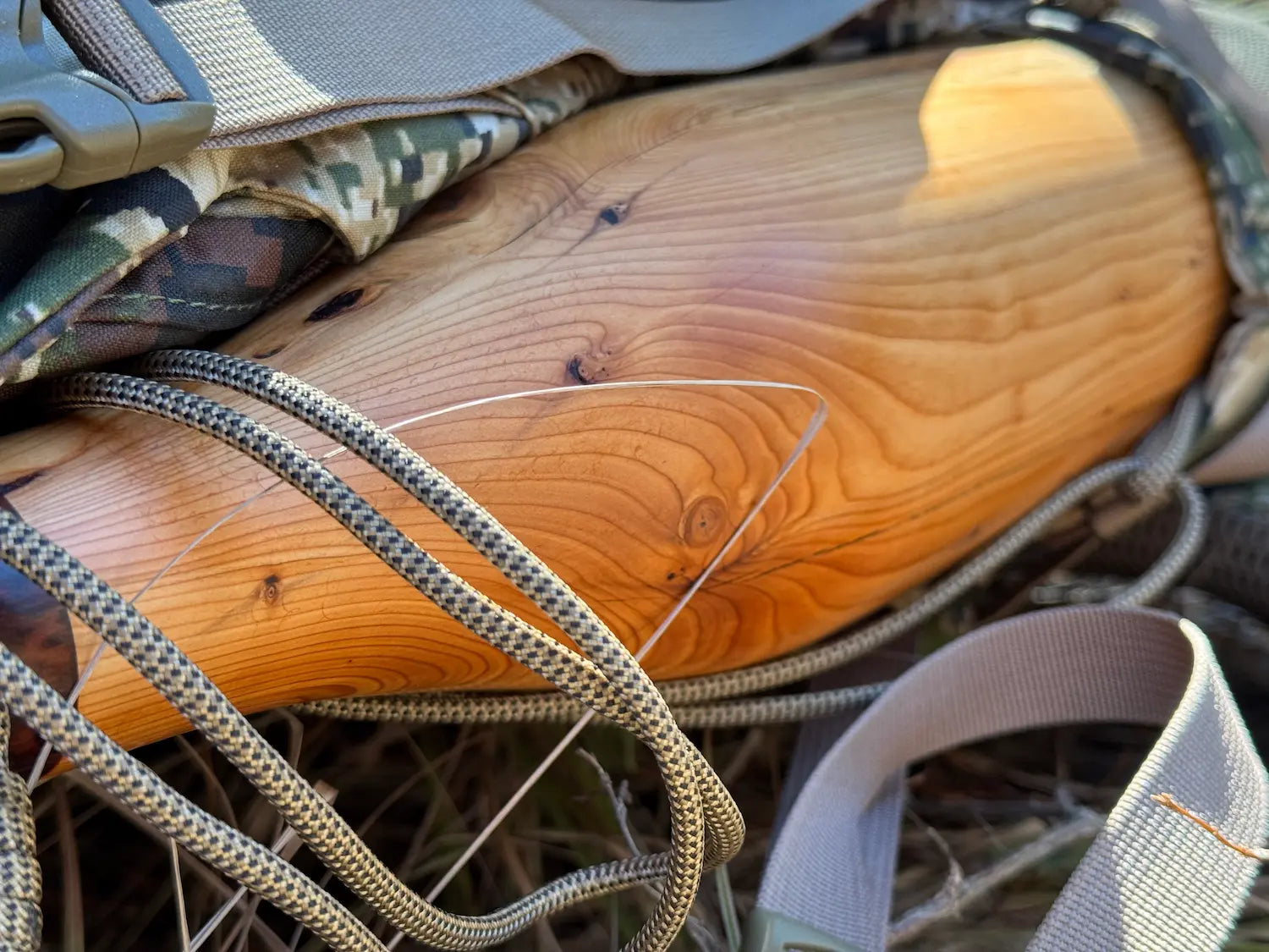 Pacific Yew Elk Bugle WCC upclose in pack