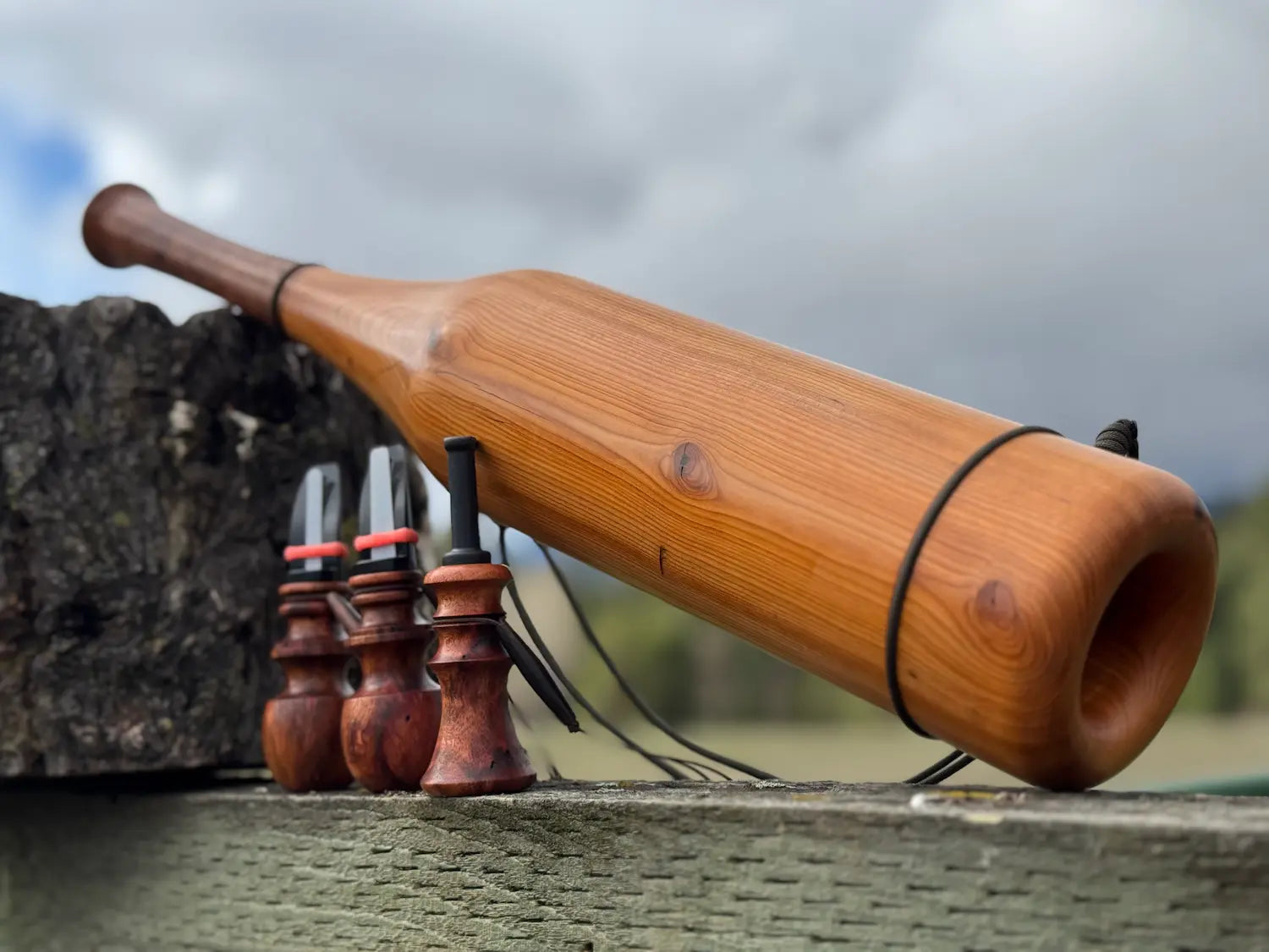 Pacific Yew Elk Bugle WCC leaning on fence