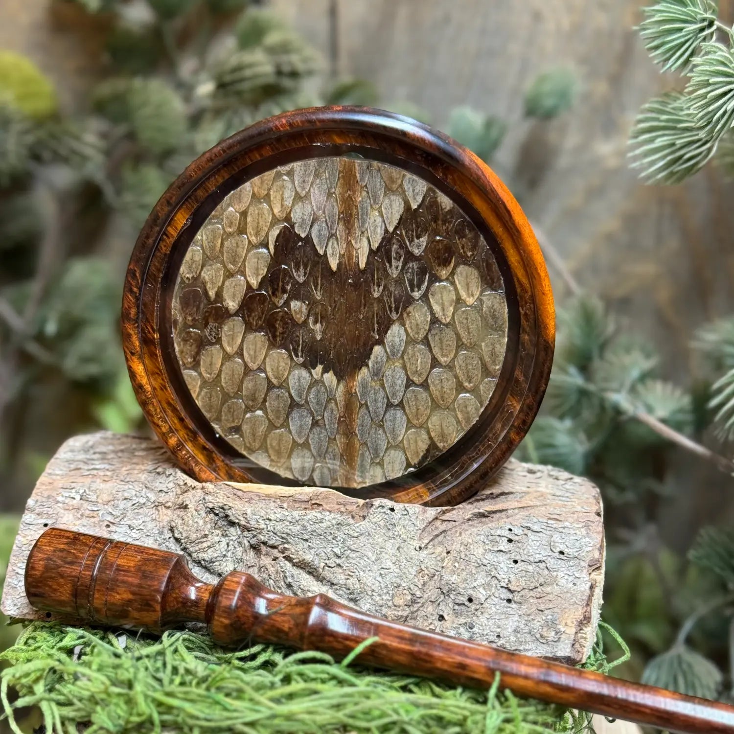 Snakewood pot call featuring genuine timber rattlesnake skin on an acrylic soundboard under glass set next to a matching snakewood striker.