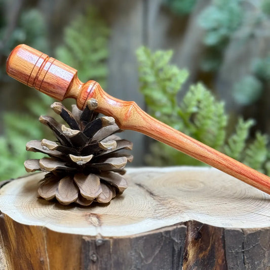 Tulipwood Striker resting on a pine cone