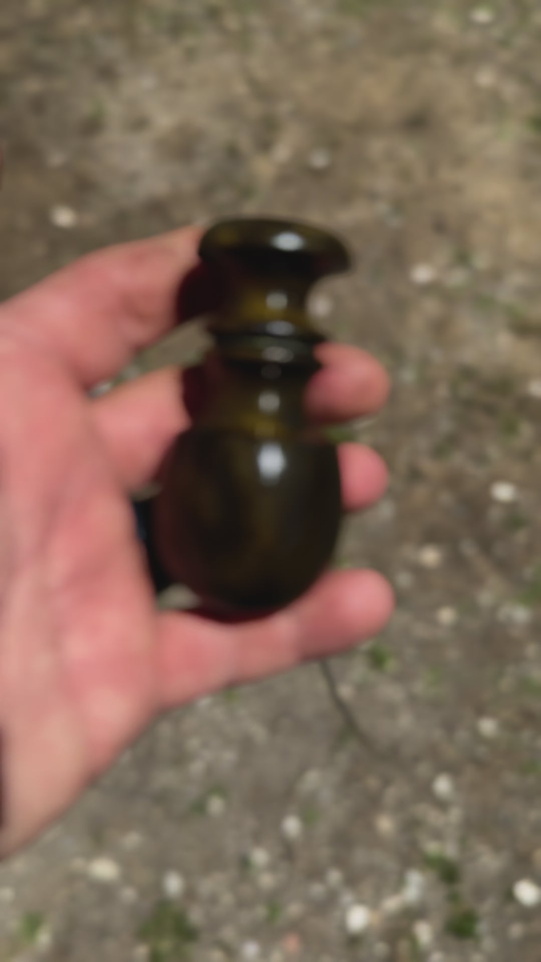 Green Osage call shimmering in sun