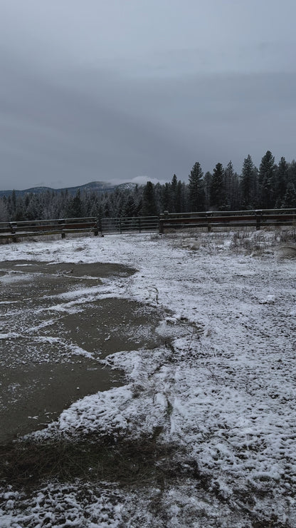 Video sound file demo of Whitetail Snort Wheeze